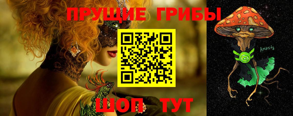 Галлюциногенные грибы Cubensis Севастополь