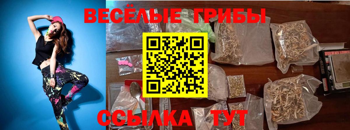 Псилоцибиновые грибы MAGIC MUSHROOMS  Вход с VPN  Севастополь  Псилоцибиновые грибы мицелий 